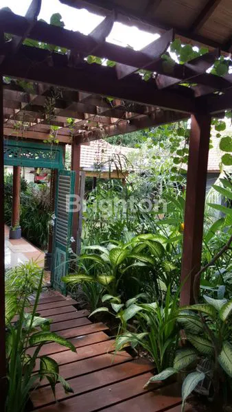 image VILLA EKSKLUSIF LUAS 920 METER 4 KAMAR TIDUR DI UMALAS DEKAT CANGGU BALI – COCOK UNTUK HUNIAN & BISNIS SEWA (3)