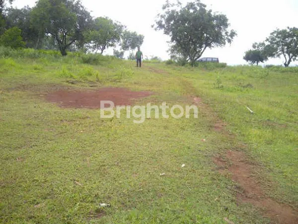 image DIJUAL TANAH CANTIK MODEL NGANTONG LEBAR BELAKANG  (3)