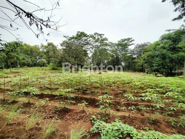 image DIJUAL TANAH CANTIK MODEL NGANTONG LEBAR BELAKANG  (1)