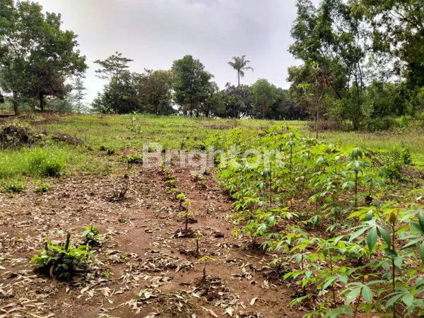 image DIJUAL TANAH CANTIK MODEL NGANTONG LEBAR BELAKANG  (2)