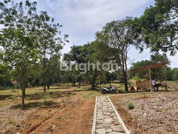 image DIJUAL TANAH CANTIK MODEL NGANTONG LEBAR BELAKANG  (4)