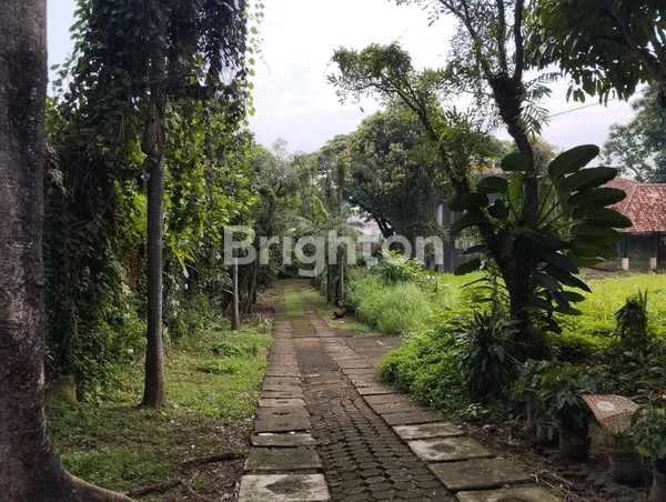 image LAHAN LUAS 7.695 M2 DI CIGANJUR JAKARTA SELATAN COCOK UNTUK SEKOLAH, PANTI, IBADAH, HEALING/MEDITASI, RESORT (4)