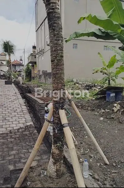 image TANAH TERASERING 2163M2 EKSKLUSIF AREA VILLA DI TIRTA TAWAR, UBUD (4)