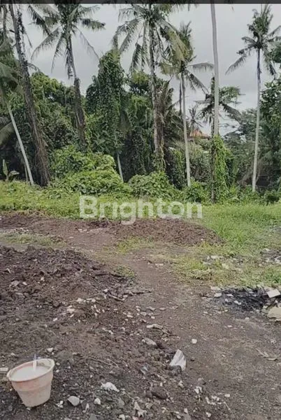 TANAH TERASERING 2163M2 EKSKLUSIF AREA VILLA DI TIRTA TAWAR, UBUD