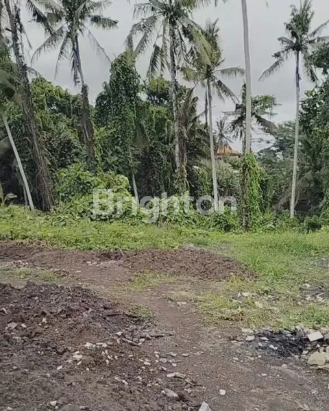 image TANAH TERASERING 2163M2 EKSKLUSIF AREA VILLA DI TIRTA TAWAR, UBUD (5)