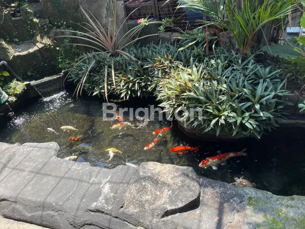 image DIJUAL SEGERA RUMAH BAGUS DI GOMBEL PERMAI (6)