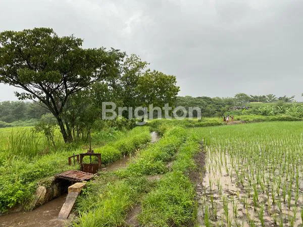 image TANAH KOMERSIAL AREA PASURUAN (1)