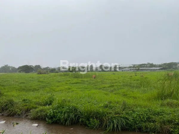 image TANAH KOMERSIAL AREA PASURUAN (2)