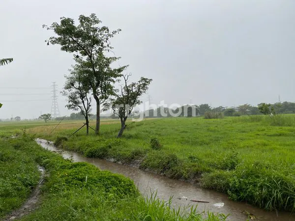 image TANAH KOMERSIAL AREA PASURUAN (3)