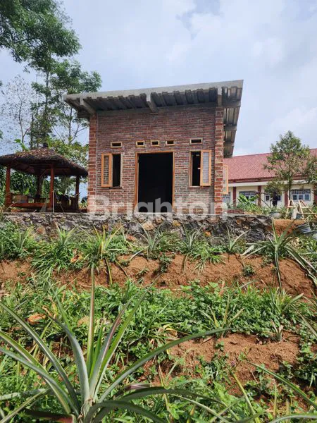 image TANAH PRODUKTIF 1.85 HA DENGAN KEBUN BUAH DI SUBANG, JAWA BARAT (5)
