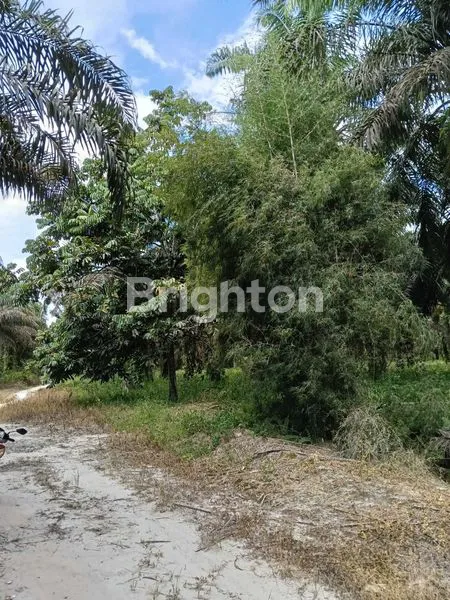 image TANAH DAERAH INDUSTRI DAN PERGUDANGAN (1)