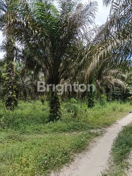 image TANAH DAERAH INDUSTRI DAN PERGUDANGAN (4)