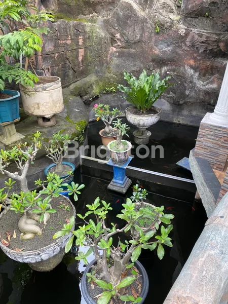 image RUMAH NOLL JALAN RAYA MERR IR SOEKARNO, LOKASI RAMAI SANGAT STRATEGIS, DAERAH SEKITAR PADAT PENDUDUK, COCOK UNTUK USAHA APAPUN, RESTORAN, CAFE, BANK, SHOWROOM, BENGKEL, TOKO, RUMAH TINGGAL DLL (4)