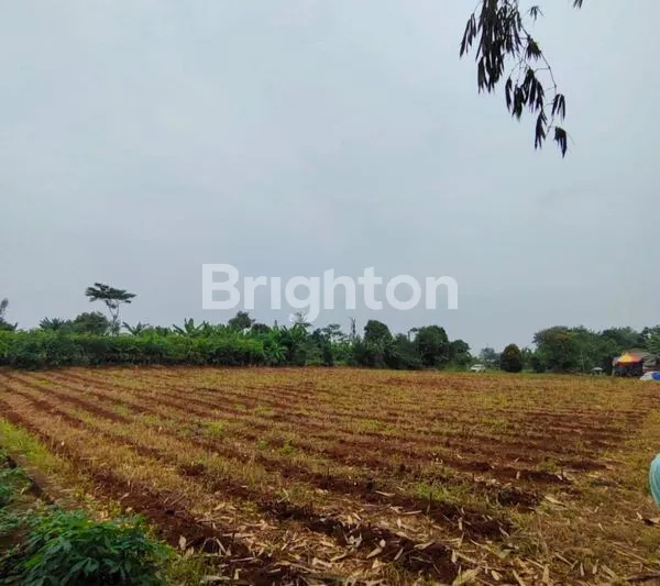 image TANAH GUNUNG SINDUR (1)