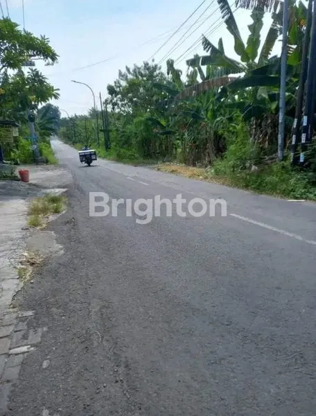 image TANAH RAYA WIYUNG  (1)