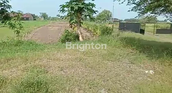 image MURAH, PER METER KURANG DARI 1 JUTA RUPIAH. PABRIK/GUDANG STRATEGIS GRESIK, KEDUNGPRING, BALONGPANGGANG GRESIK (5)