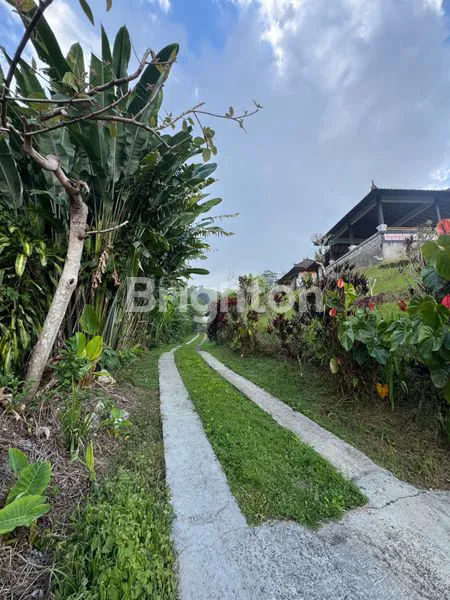 image DISEWAKAN JANGKA PANJANG TANAH BONUS BANGUNAN VIEW DANAU BERATAN LOKASI BEDUGUL (4)