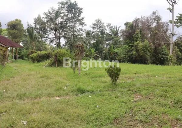 image TANAH KEBUN DI BATURITI HARGA EKONOMIS COCOK UNTUK INVESTASI (5)