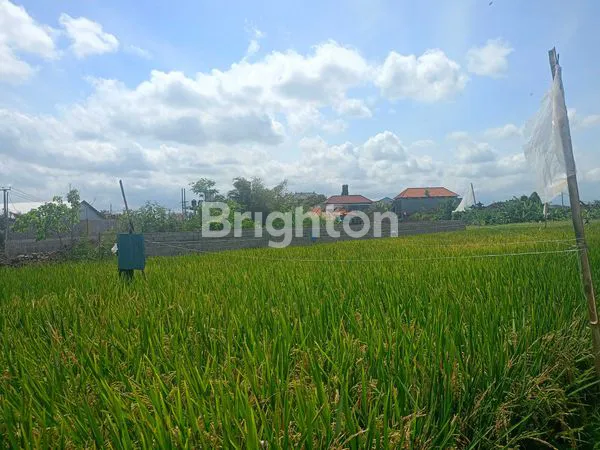 image TANAH DISEWA 30 TAHUN – JALAN BYPASS TANAH LOT - 12 ARE  (1)