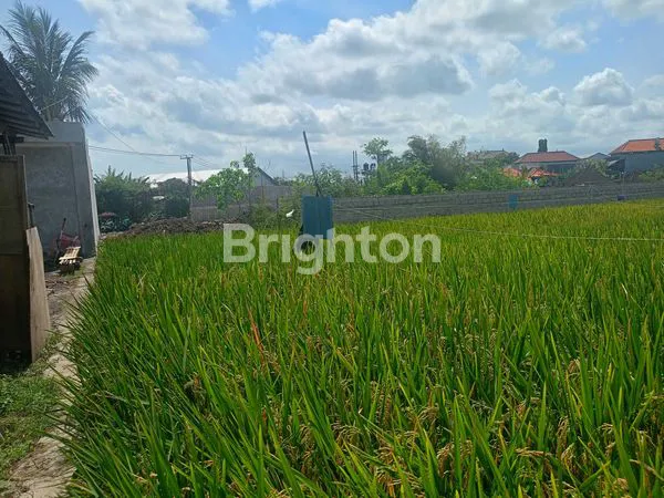 image TANAH DISEWA 30 TAHUN – JALAN BYPASS TANAH LOT - 12 ARE  (3)