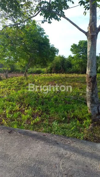 image TANAH PREMIUM 450M² DI JL. FAJAR UJUNG (1)