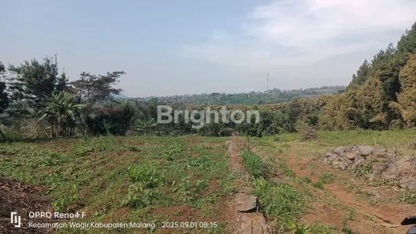 image TANAH SIAP BANGUN (SUDAH LAND CLEARING) COCOK UNTUK PERUMAHAN LT. 16.000 M2 DI JEDONG, KEC. WAGIR, KABUPATEN MALANG, JAWA TIMUR (1)