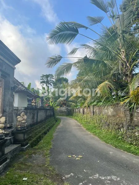 image TANAH. VIEW SUNGAI, SAWAH & GUNUNG. RASA UBUD YANG TENANG, COCOK UNTUK VILLA & INVESTASI. (2)