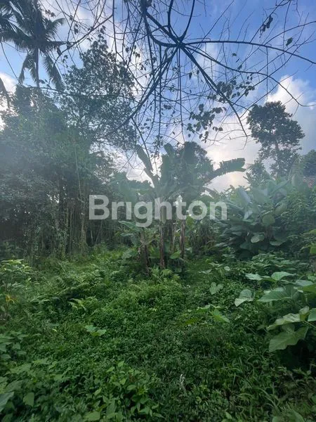 image TANAH. VIEW SUNGAI, SAWAH & GUNUNG. RASA UBUD YANG TENANG, COCOK UNTUK VILLA & INVESTASI. (1)