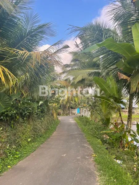 image TANAH. VIEW SUNGAI, SAWAH & GUNUNG. RASA UBUD YANG TENANG, COCOK UNTUK VILLA & INVESTASI. (3)