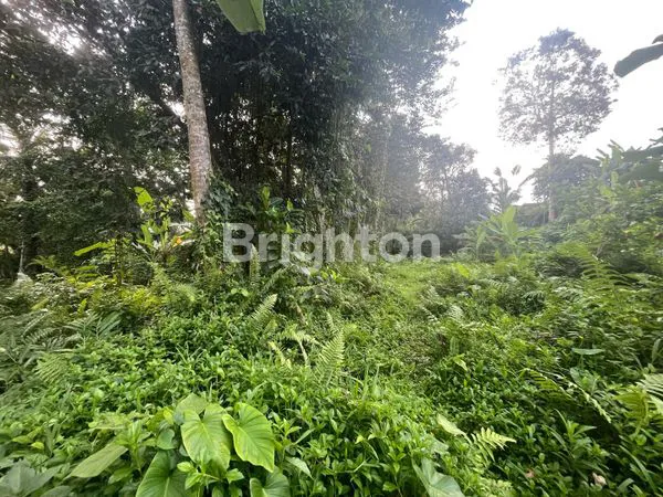 image TANAH. VIEW SUNGAI, SAWAH & GUNUNG. RASA UBUD YANG TENANG, COCOK UNTUK VILLA & INVESTASI. (4)