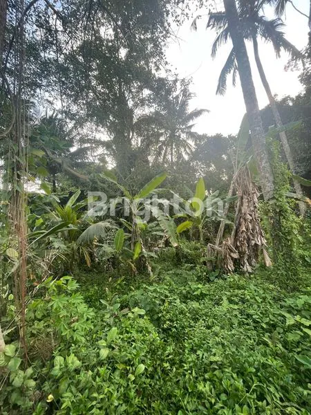 image TANAH. VIEW SUNGAI, SAWAH & GUNUNG. RASA UBUD YANG TENANG, COCOK UNTUK VILLA & INVESTASI. (8)