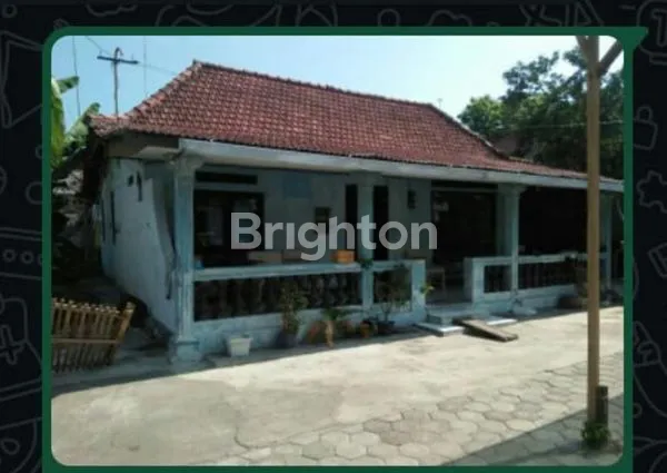 image TANAH DI PATI (1)