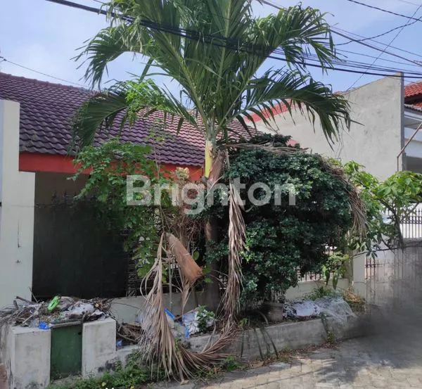 image RUMAH HITUNG TANAH SUTOREJO LOKASI STRATEGIS (1)