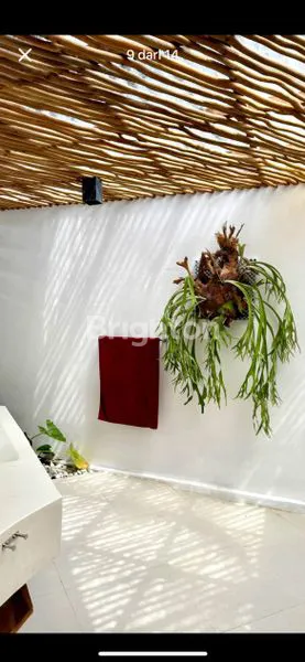 image VILA BAGUS DI CANGGU (4)