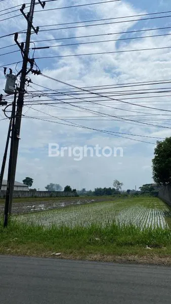 image TANAH ZONA INDUSTRI MERAH LOKASI SUPER STRATEGIS MOJO  (1)