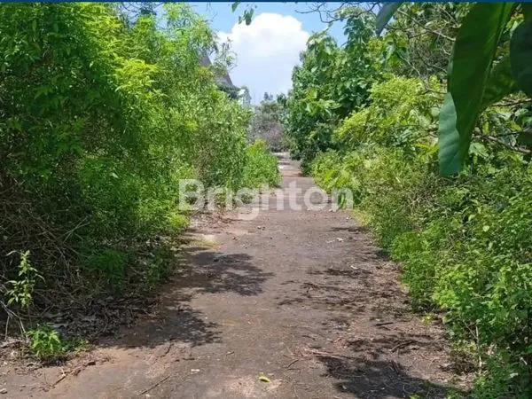 image TANAH KOSONG BALANGAN 2HA (4)