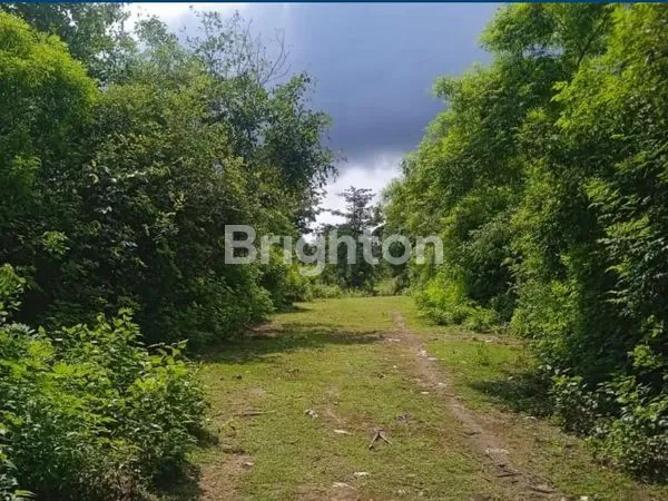 image TANAH KOSONG BALANGAN 2HA (6)