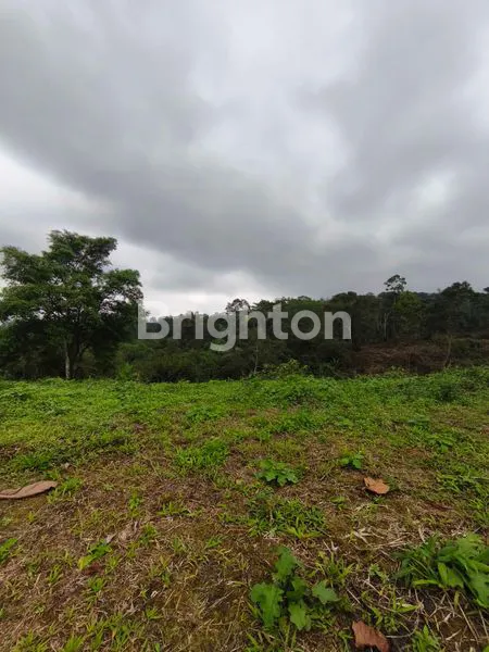 image KAVLING TANAH  BONUS 10 BIBIT DURIAN DAN CABIN VILLA (2)