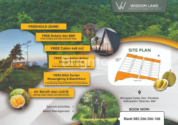 image KAVLING TANAH  BONUS 10 BIBIT DURIAN DAN CABIN VILLA (7)