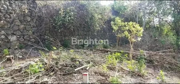 image TANAH KOSONG KUTUH PANDAWA (2)