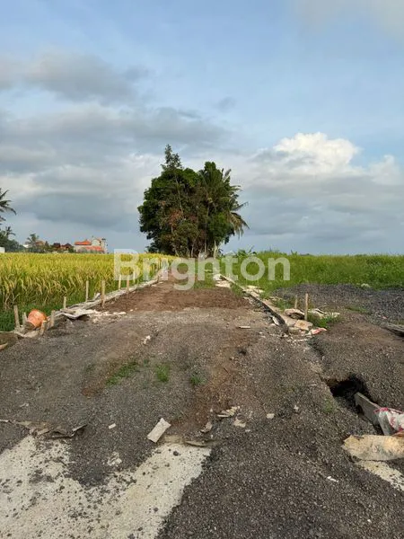 image JUAL TANAH BAGUS TANAH LOT (2)