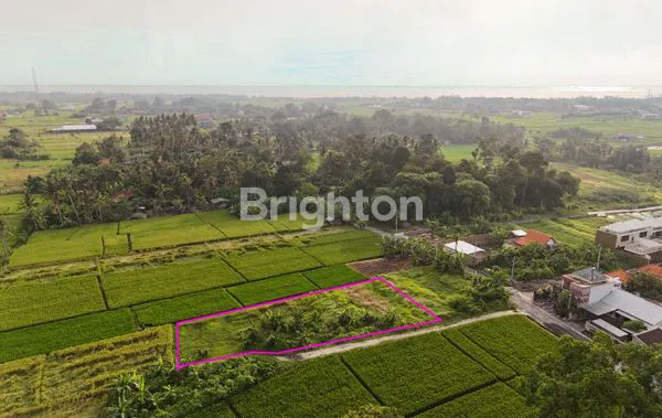 image JUAL TANAH BAGUS TANAH LOT (4)