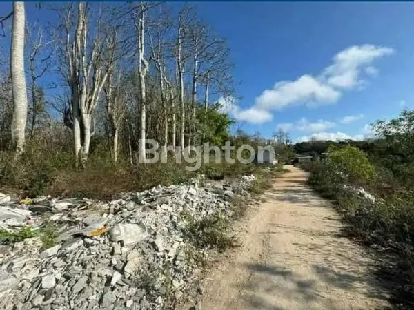 image OCEAN VIEW PECATU LAND (4)