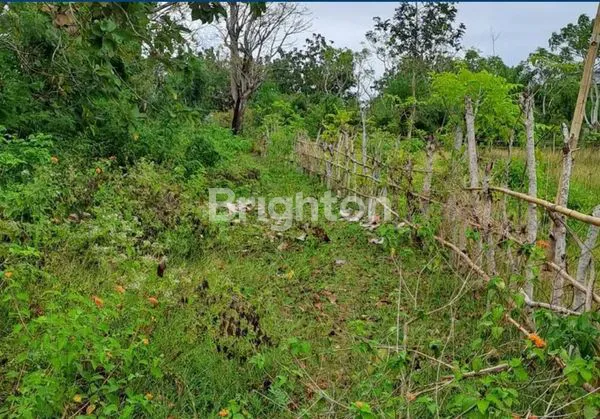 image TANAH KOSONG KUTUH GUNUNG PAYUNG (2)