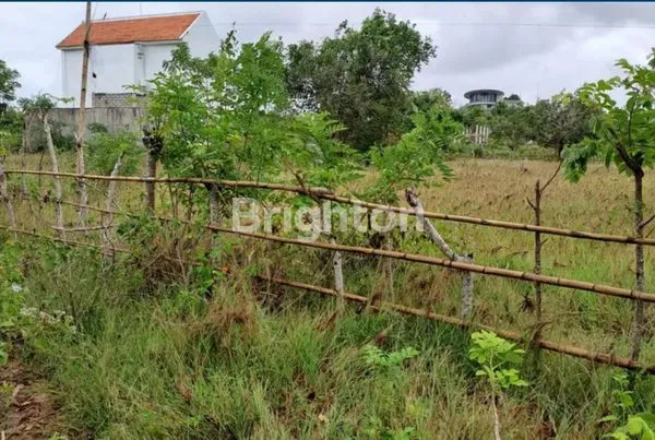 image TANAH KOSONG KUTUH GUNUNG PAYUNG (3)