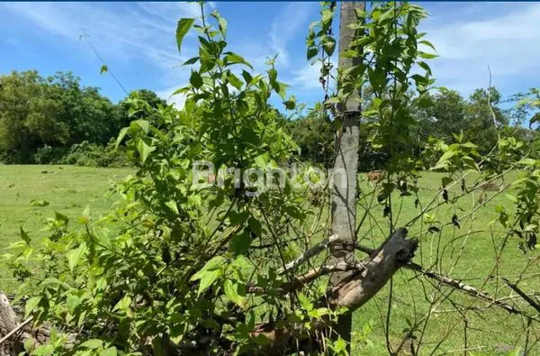 image TANAH KOSONG BALANGAN DEKAT PANTAI KUBU (5)