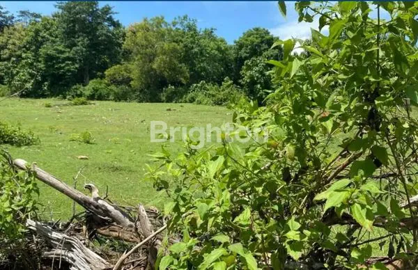 image TANAH KOSONG BALANGAN DEKAT PANTAI KUBU (6)