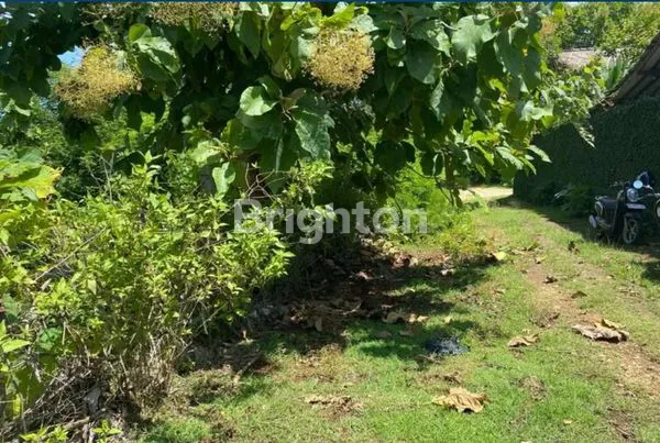 image TANAH KOSONG BALANGAN DEKAT PANTAI KUBU (4)