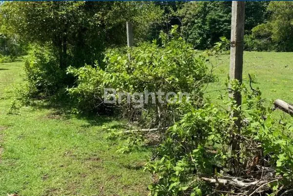 image TANAH KOSONG BALANGAN DEKAT PANTAI KUBU (1)