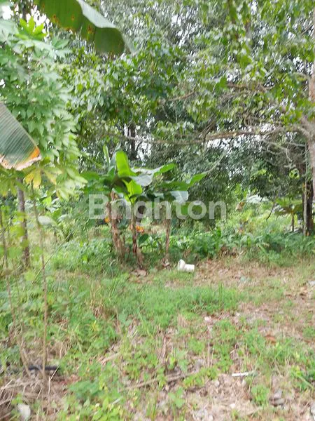 image TANAH SIAP BANGUN DI WIKA  (5)